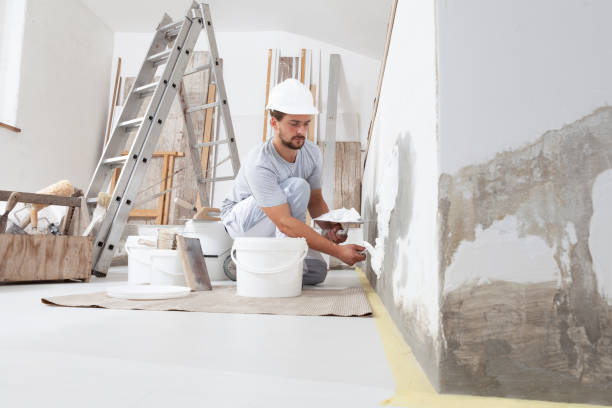 Best Biohazard Mold Removal  in East Alton, IL