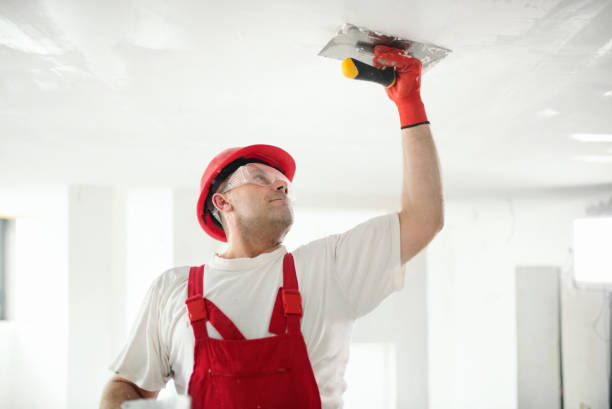 Best Mold Prevention Services  in East Alton, IL