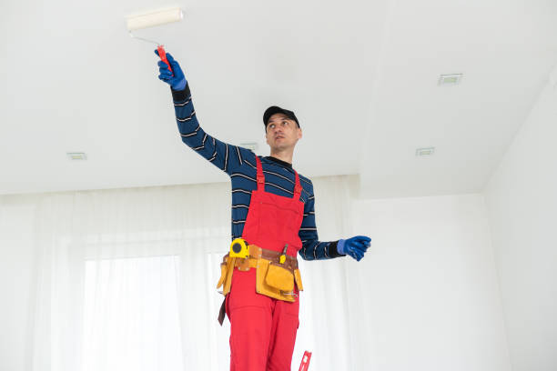Best Crawl Space Mold Remediation  in East Alton, IL